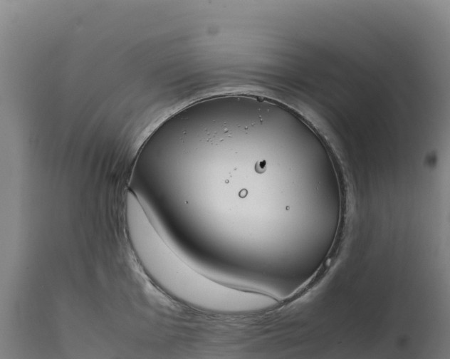 X0000112401001200908281746