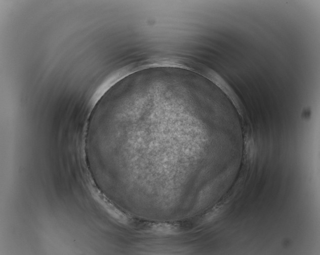 X0000112401002200908281746