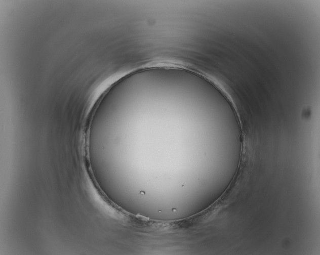 X0000112401003200908281746