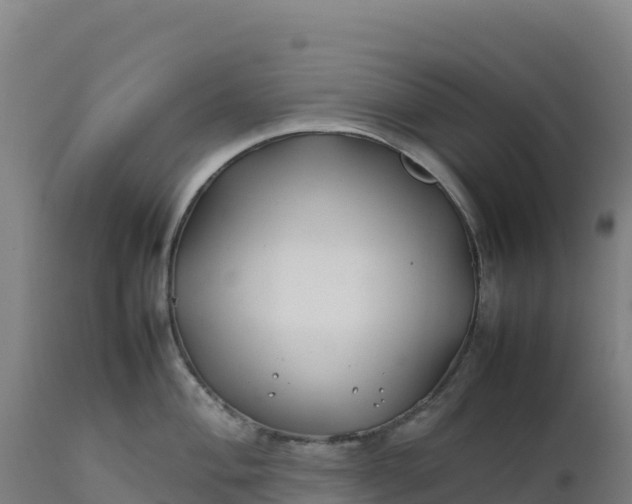X0000112401004200908281746