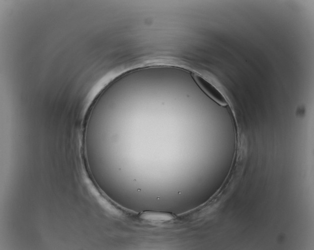 X0000112401005200908281746