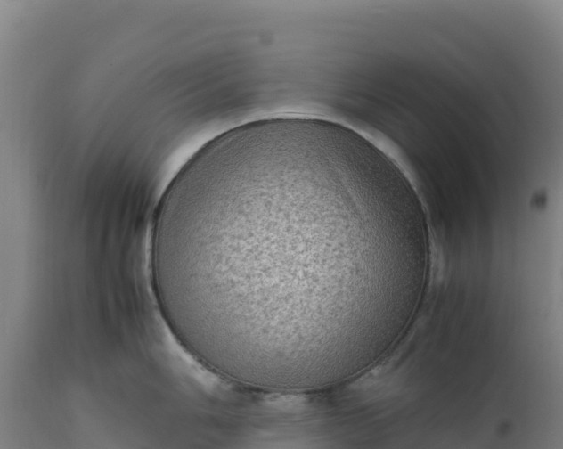 X0000112401006200908281746