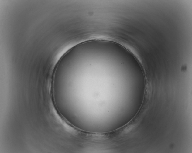 X0000112401007200908281746