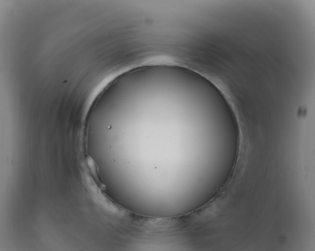 X0000112401008200908281746