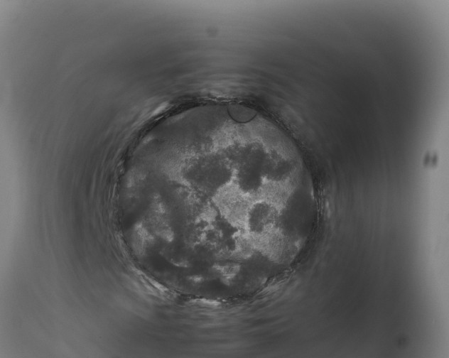 X0000112401009200908281745