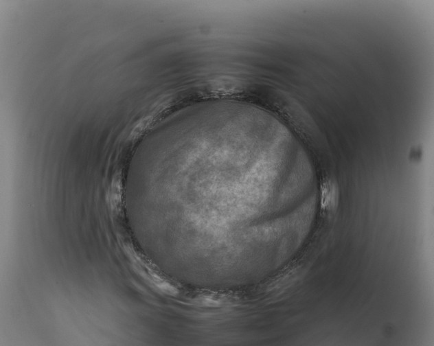 X0000112401011200908281745
