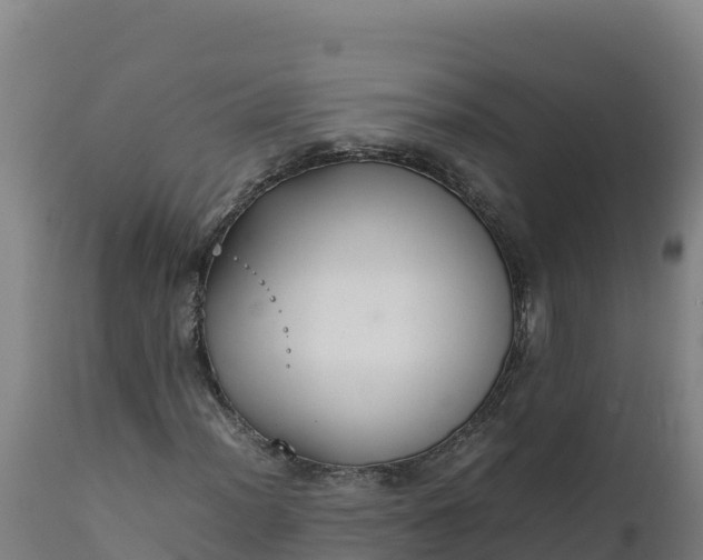 X0000112401012200908281745