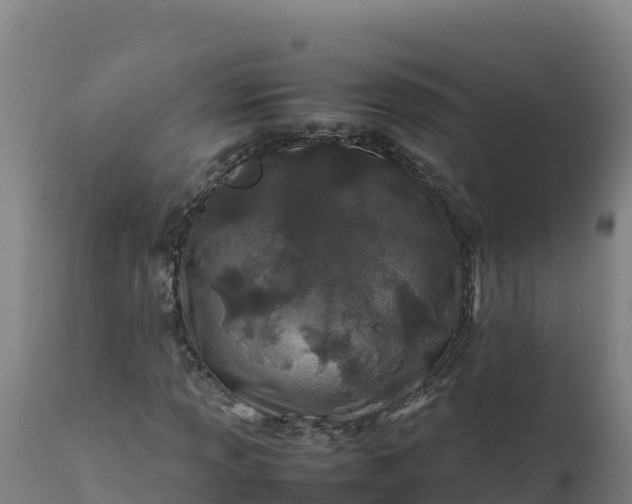 X0000112401013200908281745