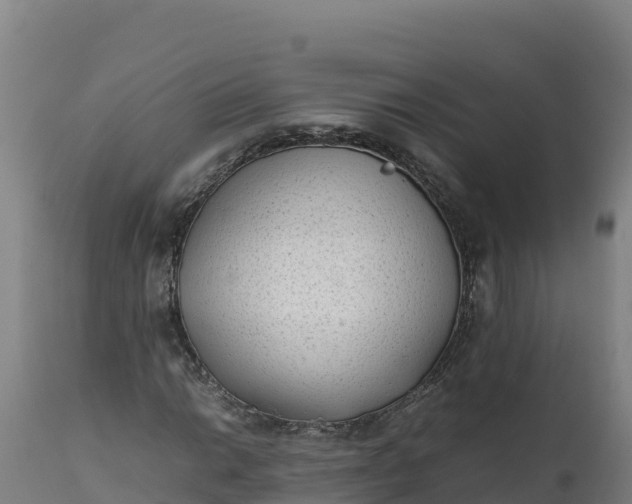 X0000112401014200908281745
