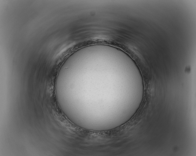 X0000112401015200908281745