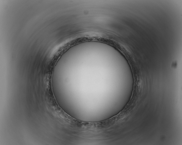 X0000112401016200908281745