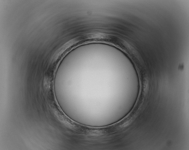 X0000112401017200908281745