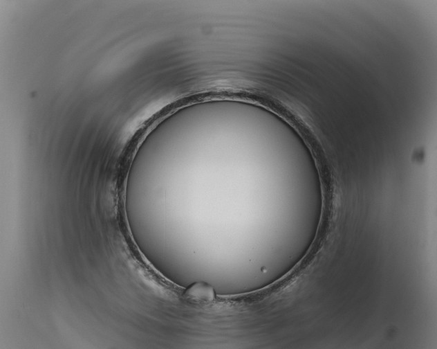 X0000112401018200908281745