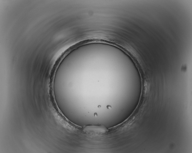 X0000112401020200908281745