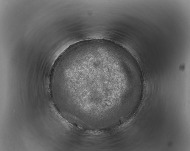 X0000112401023200908281745