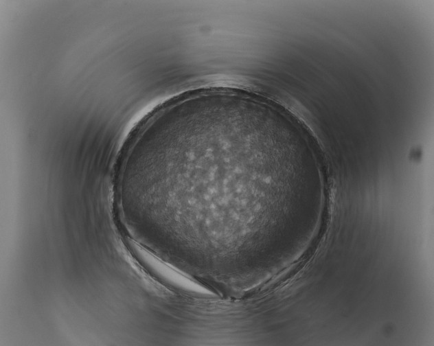 X0000112401024200908281745