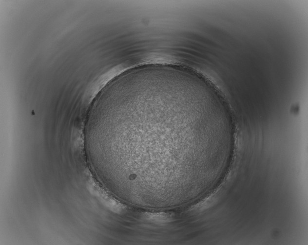 X0000112401025200908281745