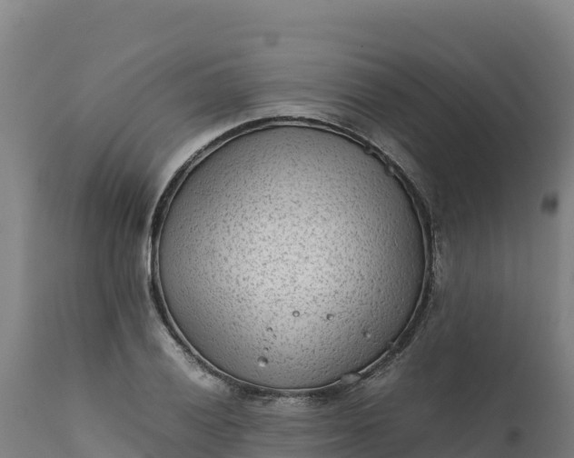 X0000112401028200908281745