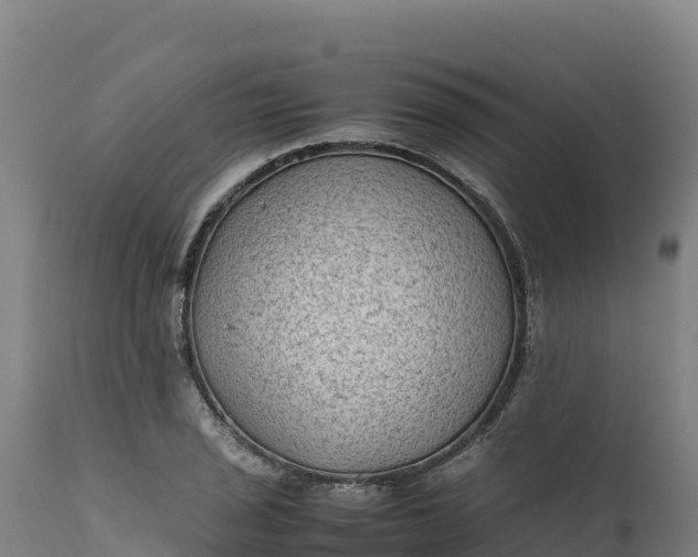 X0000112401029200908281745