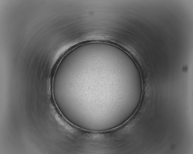 X0000112401030200908281745