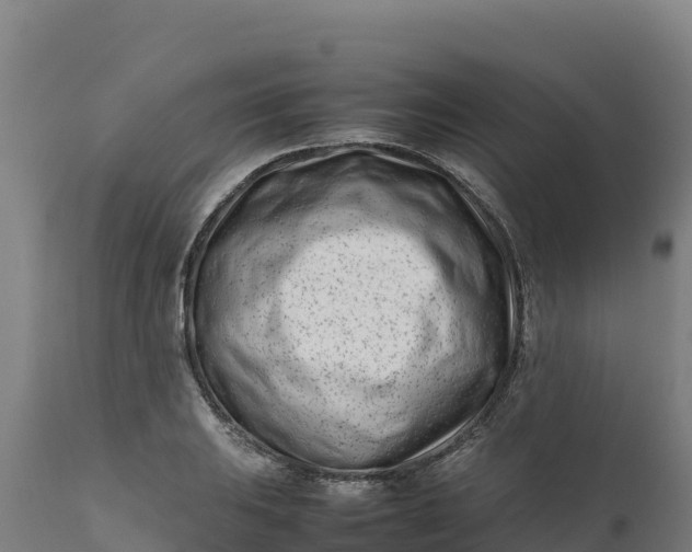 X0000112401031200908281745