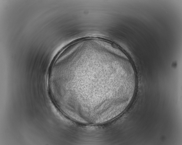 X0000112401032200908281745