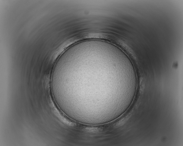 X0000112401033200908281745