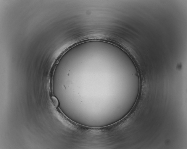 X0000112401034200908281745