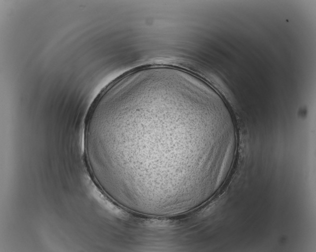 X0000112401036200908281745