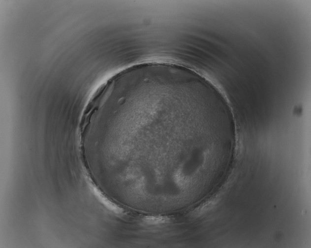 X0000112401037200908281745