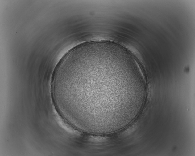 X0000112401039200908281745