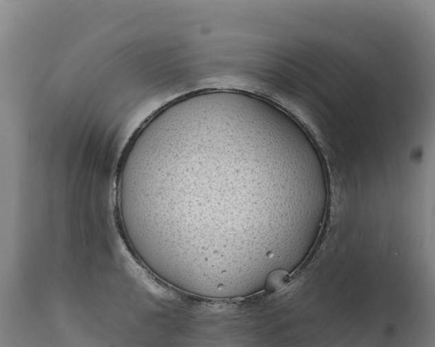 X0000112401040200908281745