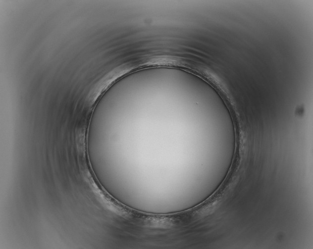 X0000112401041200908281745