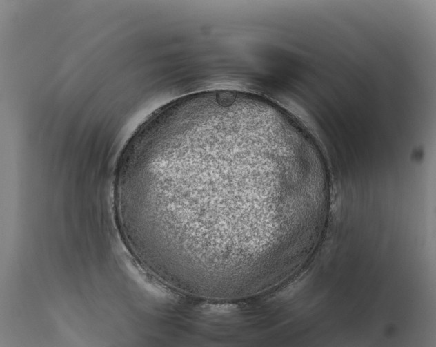 X0000112401043200908281745