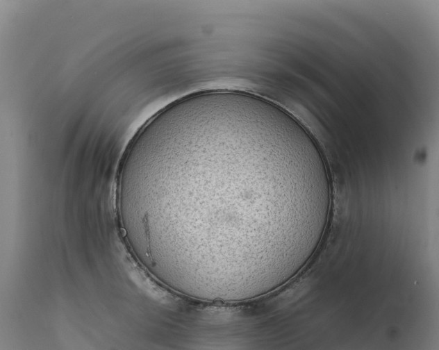 X0000112401044200908281745
