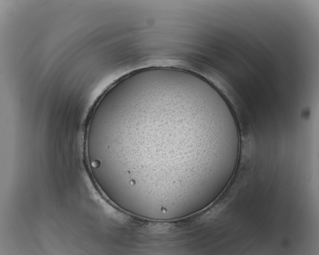 X0000112401046200908281745