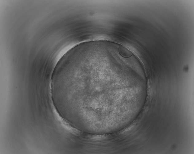 X0000112401047200908281745