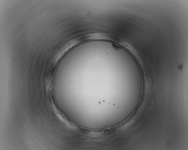 X0000112401049200908281746