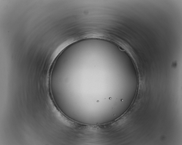 X0000112401050200908281746