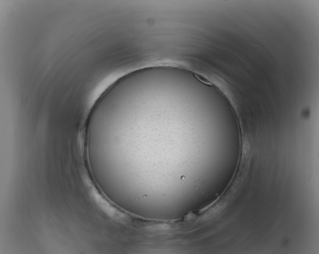 X0000112401054200908281746