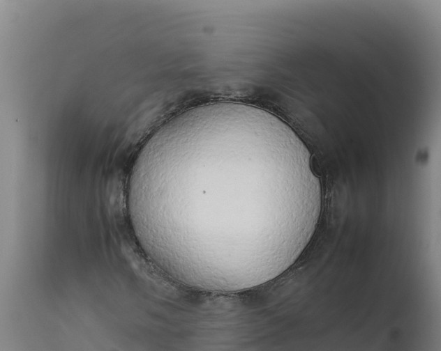 X0000112401058200908281745