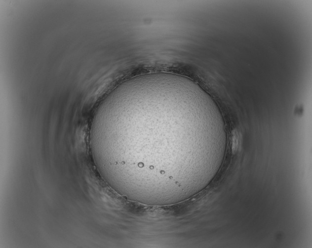 X0000112401059200908281745