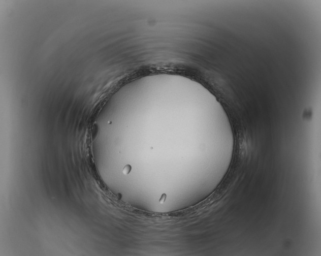 X0000112401060200908281745