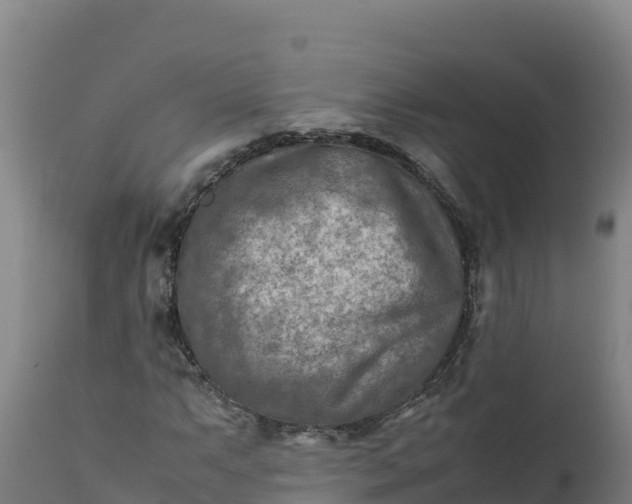 X0000112401063200908281745