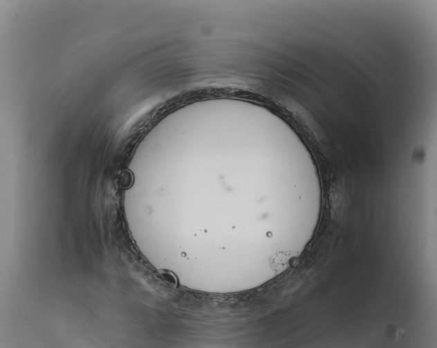 X0000112401064200908281745