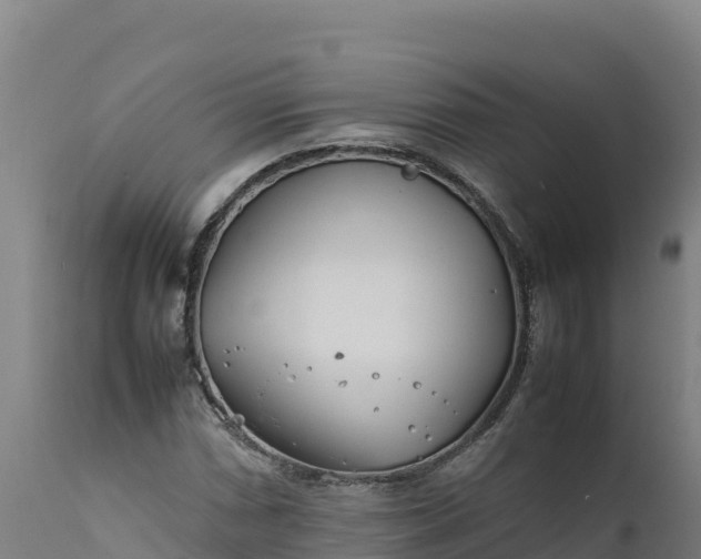 X0000112401066200908281745