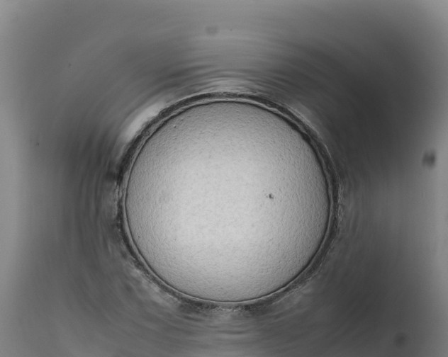 X0000112401067200908281745