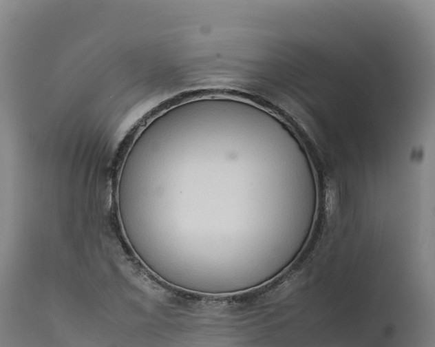 X0000112401069200908281744