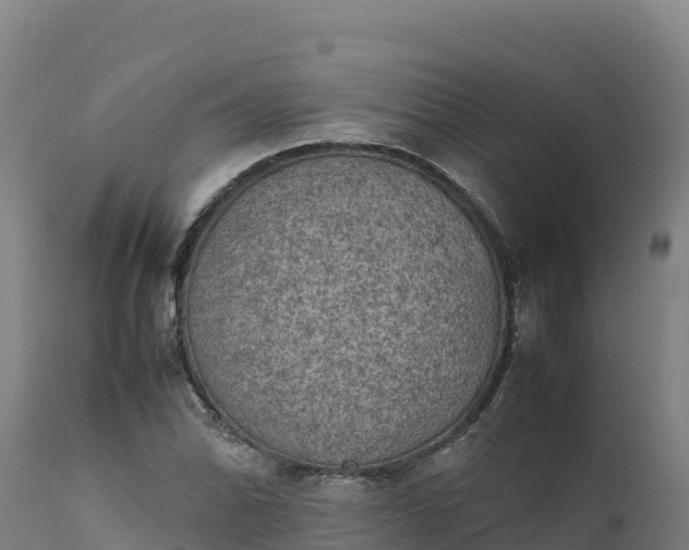 X0000112401070200908281744