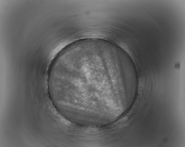 X0000112401071200908281744